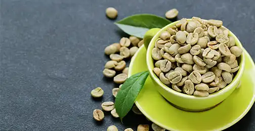 How does Green Coffee Bean Extract Powder help with weight loss?